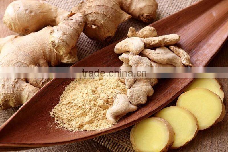 Pure Ginger Powder Bulk Producers