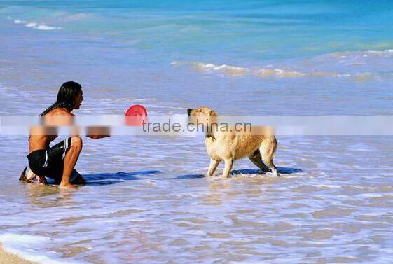 Brand new pet gel mat with high quality