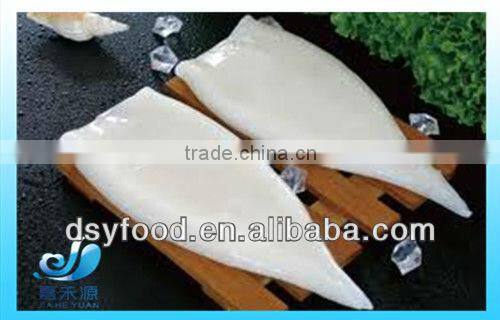 various frozen squid product market