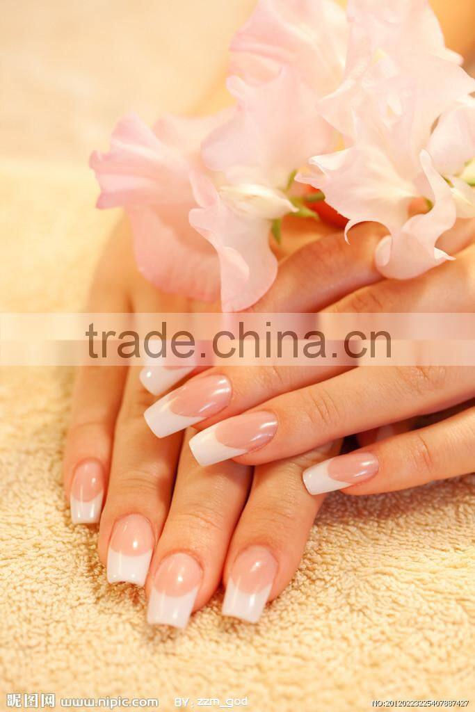 nail art french white builder gel for hand painted nail art