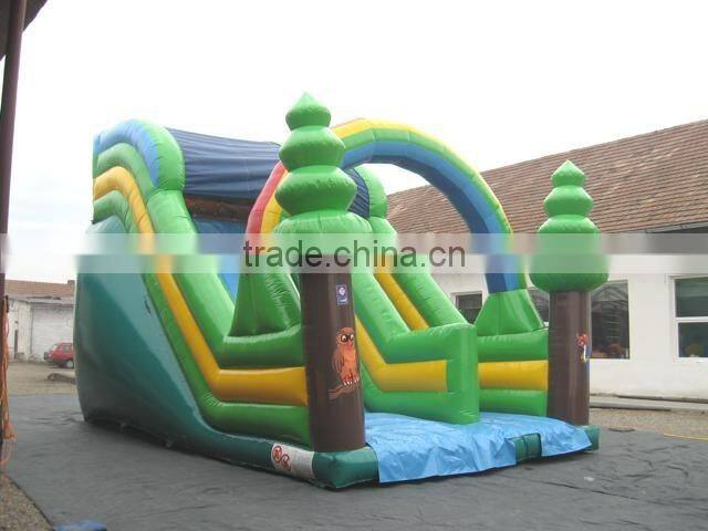 20 ft tall single line inflatable dry slide for sale