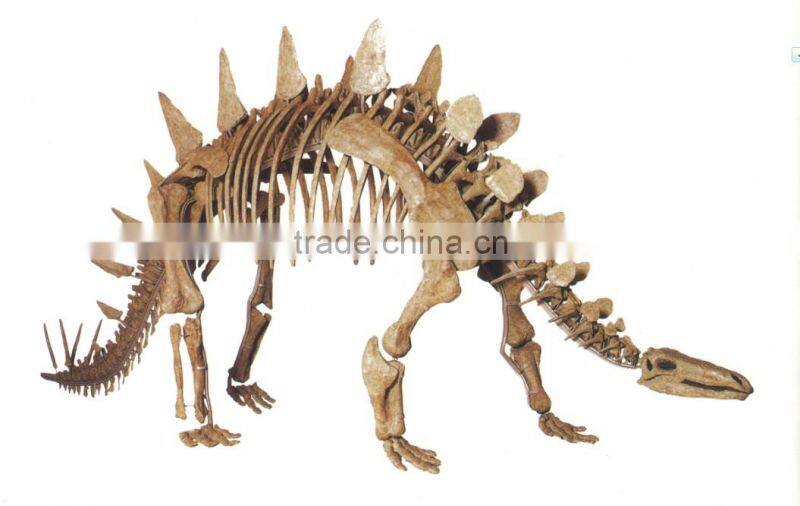 2013 Newest Best Quality Dinosaur Skeleton Model