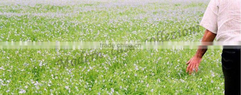 china textile fabric / stripe fabric / bedding fabric