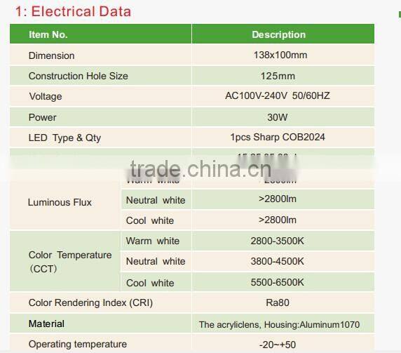 Hot sell CB GS SAA approval high power dimmable 30w cob spot light