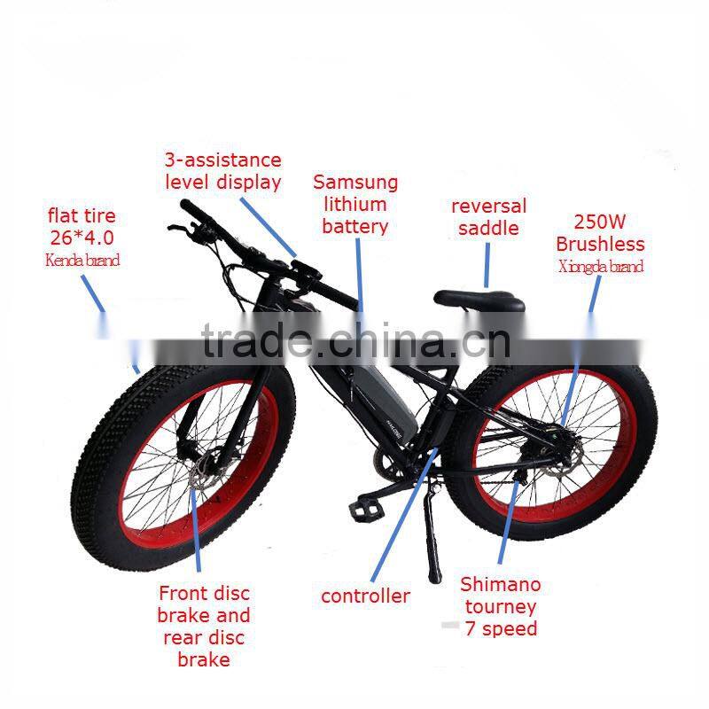 import fast delivery electric mountain bicycle for Europe market