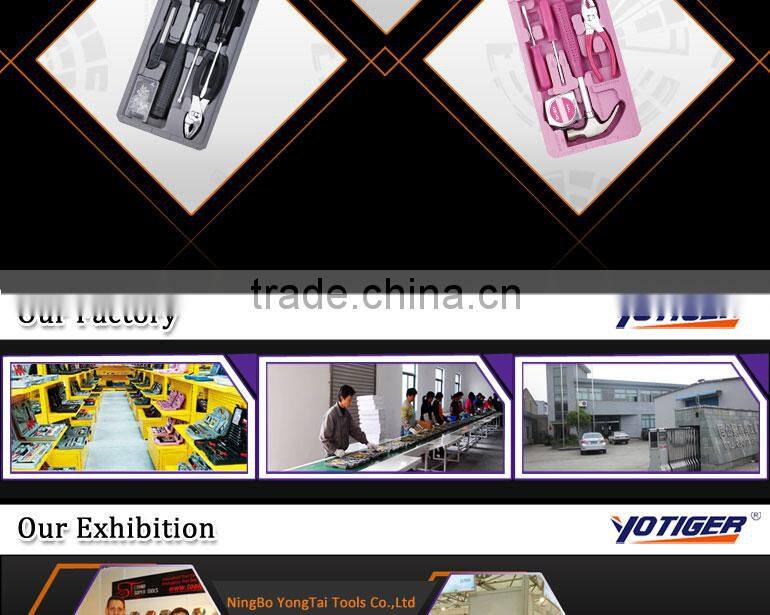 13pcs Promotional Hand Tool of Precision Screwdriver Set