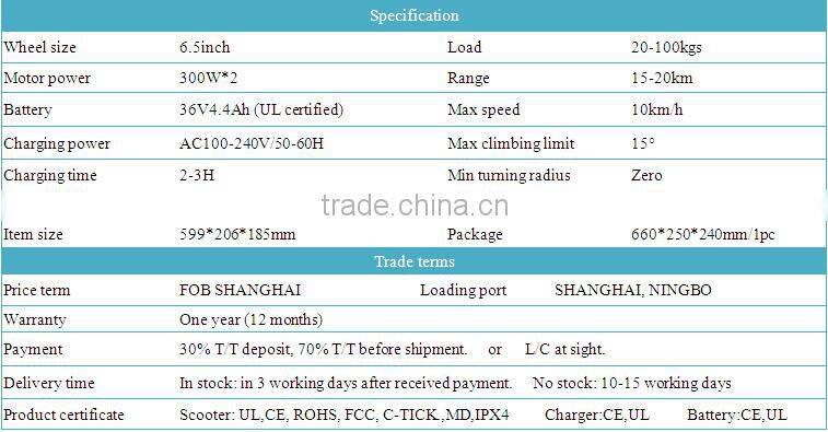 self balancing electric bike used by lots of people