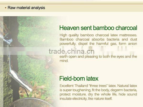Environmental Anion Latex Mattress Core