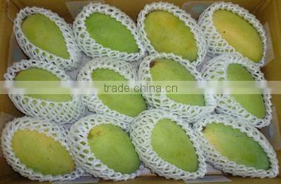 Fresh Mango Competitive price from Vietnam