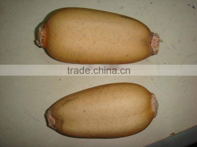 Fresh root of Lotus/ Lotus root whole or sliced