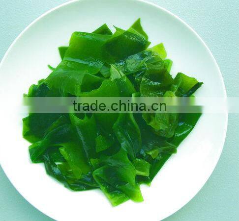 Wakame kelp frozen Wakame kelp fresh kelp dried kelp