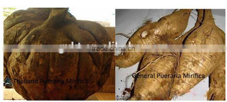 White Kwao Krua big breast tight cream