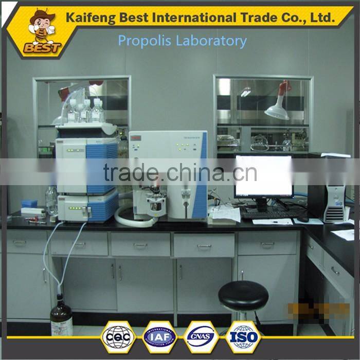 Hot sale good price manufactory propolis powder bulk