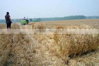 shisha charcoal stick machine/toner making machine