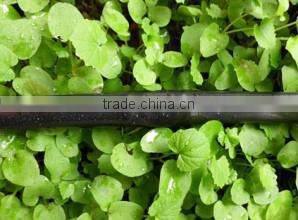 CYLR Round Dripper Tube Drip Irrigation Plastic Pipe For Irrigation System