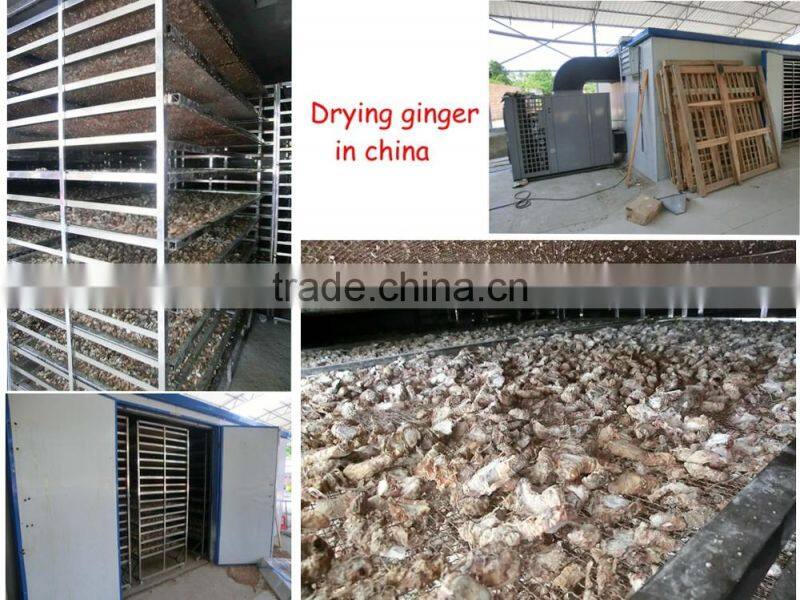 Professional Manufacture Widely Used Big Dried Fruit Processing Machine Apply To Dry Fruit