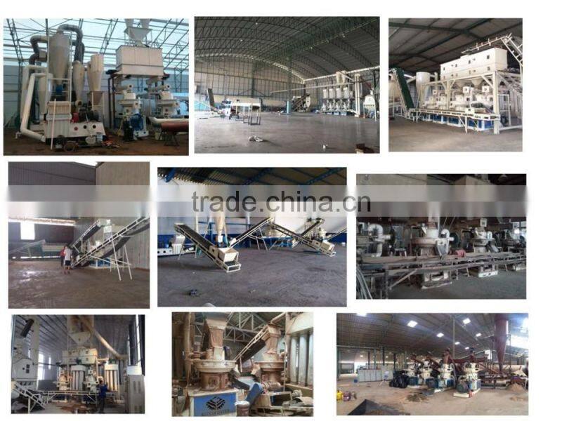 palm kernel biomass waste recycling pellet production line