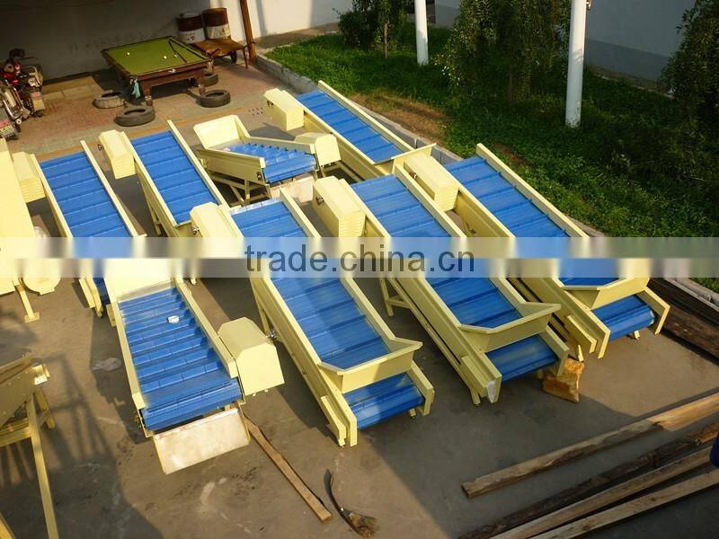 Plastic belt Food Vegetable Fruit Hoisting Machine Elevator Hoister Conveyor