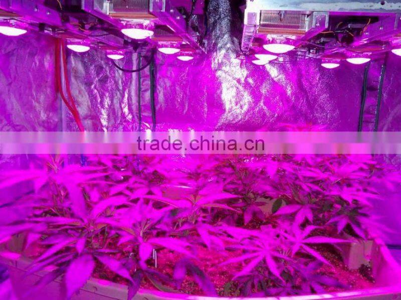 1w 50w 100w 200w horticultural led full spectrum for indoor grow