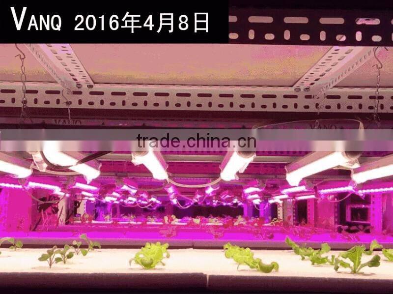 high umol led grow light tube led for lettuce hydroponic vertical farm 30w waterproof