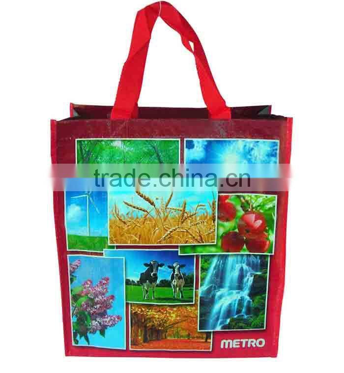 PP woven shopping bag