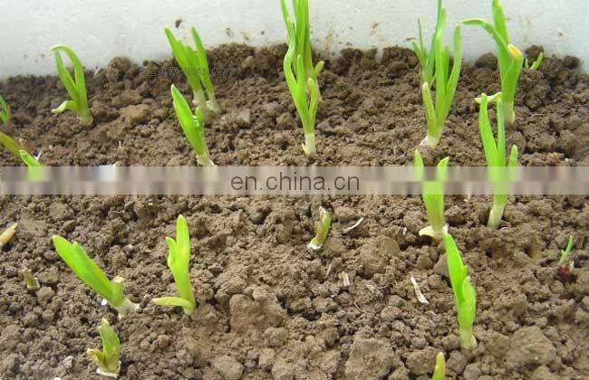 Factory Supply Garlic Onion Peanut Seeds Planting Machine