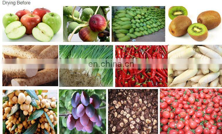 Automatic Gas/Multi-layer Conveyor Mesh Belt Dryer/tunnel food drying oven /machine for fruit and vegetable dry