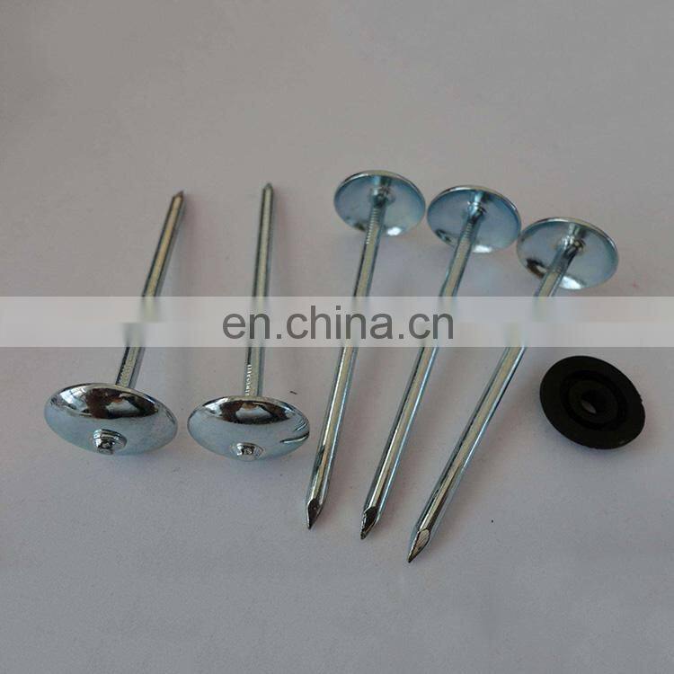 Cheap umbrella head 14-20mm roofing nails galvanized