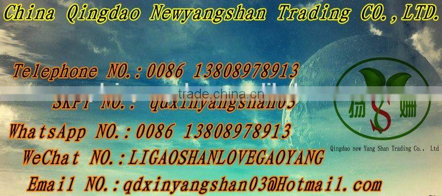 (HOT)Fresh cabbage is the most popular