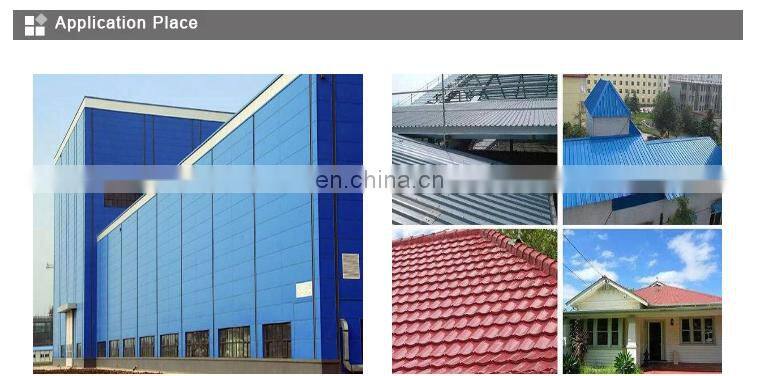 roof was painted with tiles corrugated steel