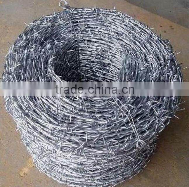 hot dip/ Electro galvanized barbed wire (manufacturer)