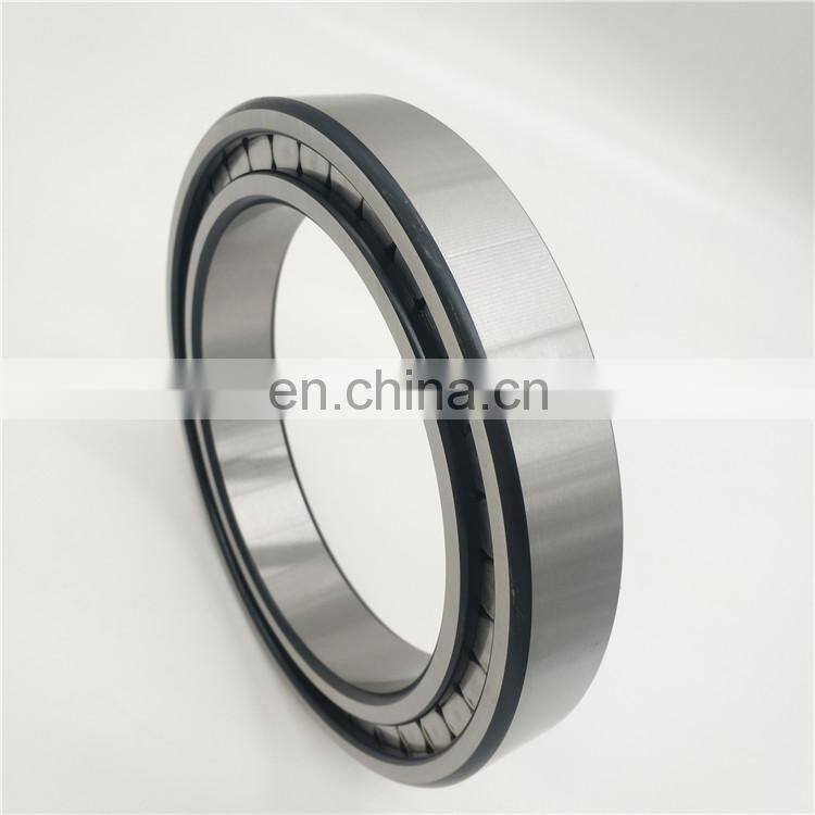 Full Complement Cylindrical Roller Bearing SL19 2209 SL192209