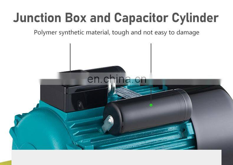 Powerful AC 220V 50Hz 2800rpm Single Phase Electric Motors