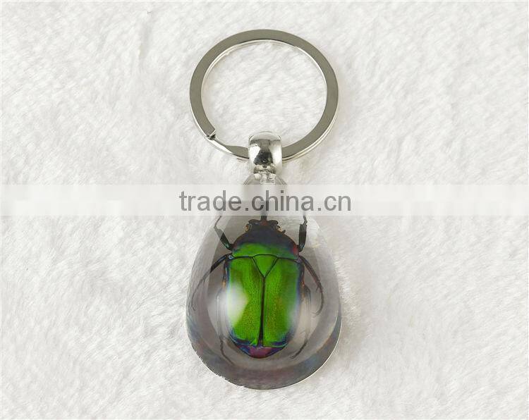 Wholesale Real starfish key chain rings