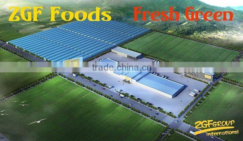 Hot Sale fresh and healthy kidney beans ( small pure kidney bean)