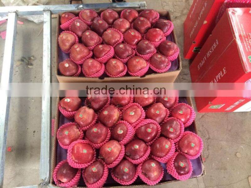 Nice fuji apple from China on sale for Bangladesh market