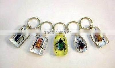 China supplier and high precision Co2 laser cutting or engraving machine with CCD