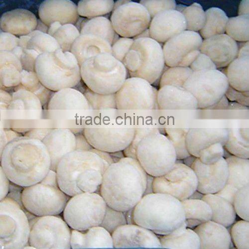 choice and whole canned mushroom in tin