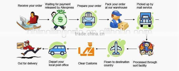 2014 Fancy Tight Pants Lady Sexy Sheer Legging Pants L22106