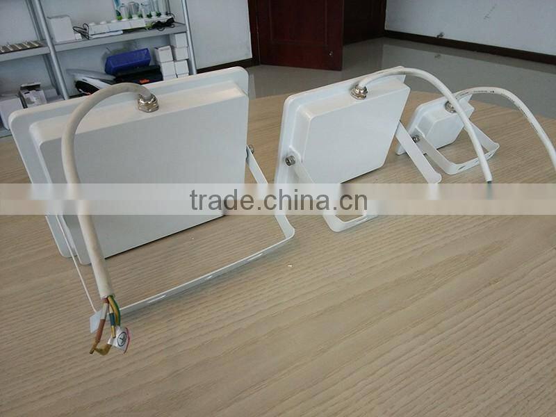 IP65 Waterproof Aluminum PF0.9 Ra80 1600LM 20W LED Floodlight