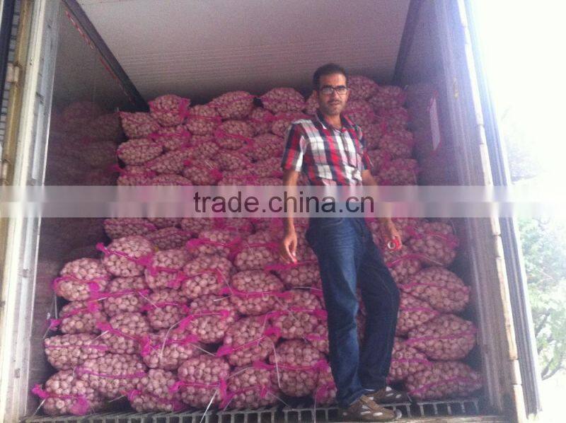 China Red Garlic Price Store Garlic