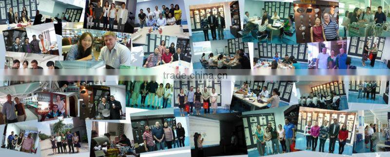 waterfall rain mini hand shower heads prices