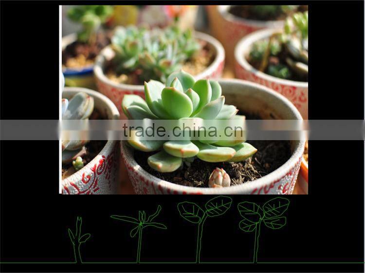 China supplier new designed potted artificial mini succulent plants for table decoration