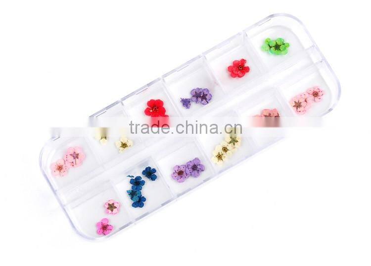 Nail art accessories real dry dried flowers 12 colors in rectangle