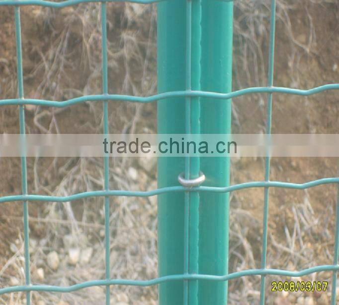 Netherlands Mesh