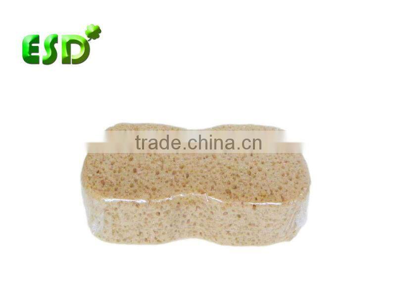 car cleaning sponge