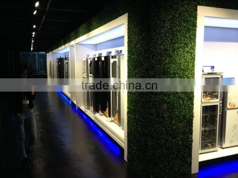 Hot design ,steam oven /Portable electric convection oven/Electric steaming baking oven TS05