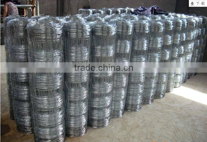 galvanized cattle fence