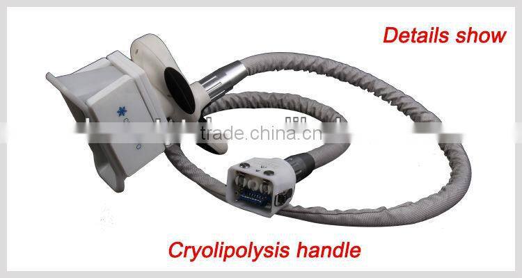 3 in1 high effective cryolipolysis vacuum laser professional slimming machine