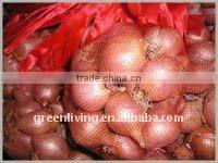 sell good quality Onion in china